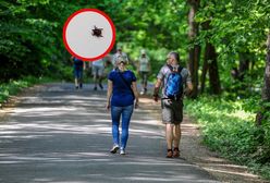 To już pewne. Śmiertelnie groźny kleszcz. Znaleziony w trzech miejscach w Polsce