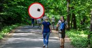 To już pewne. Śmiertelnie groźny kleszcz. Znaleziony w trzech miejscach w Polsce