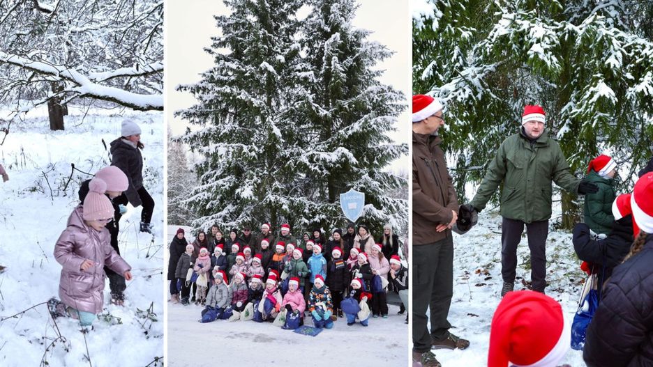 Fot. Andrzej Goiński