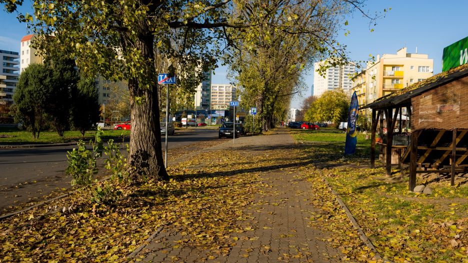 Warszawa. Drogowcy realizują projekty z budżetu obywatelskiego
