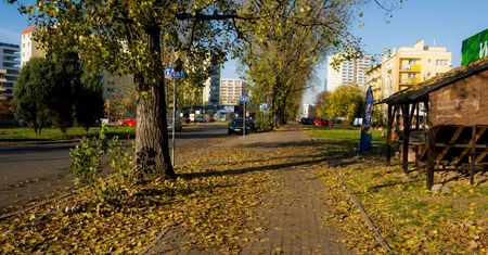 Warszawa. Drogowcy realizują kolejne projekty z Budżetu Obywatelskiego