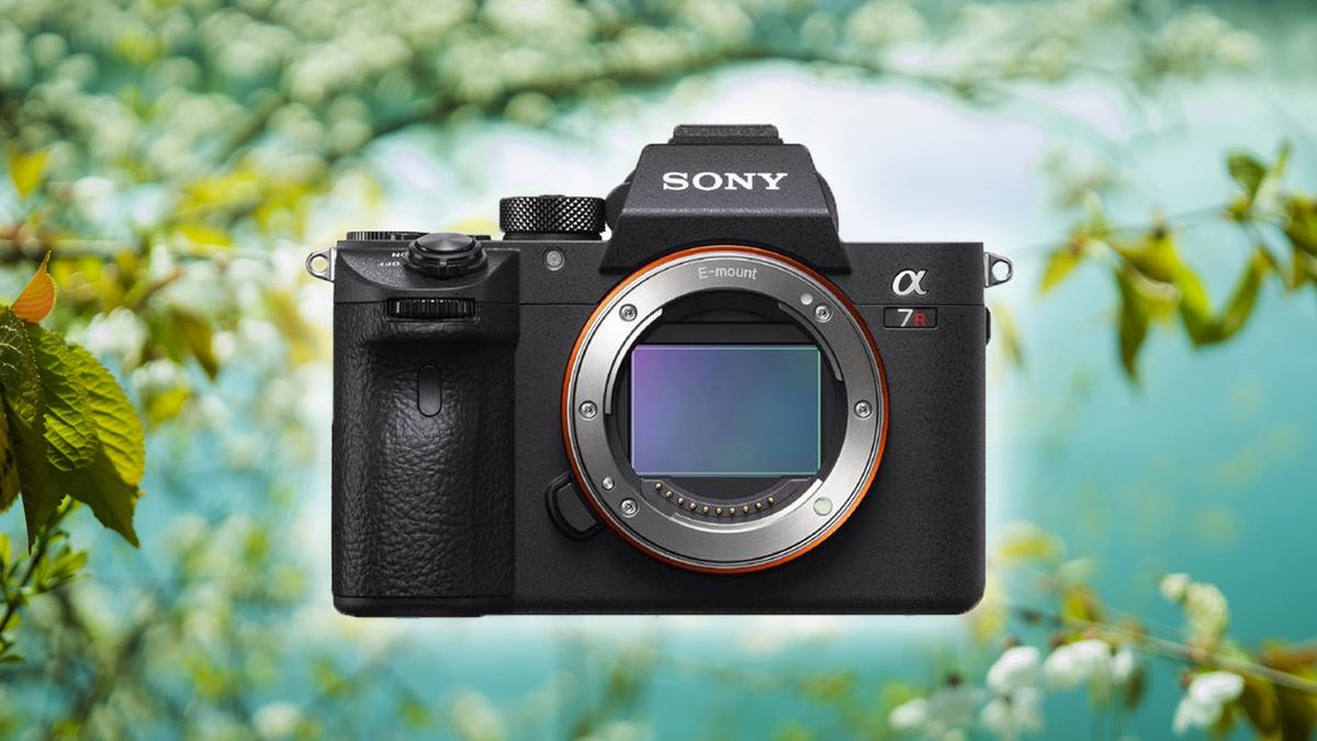 Sony A7R IV – najnowszy bezlusterkowiec wyprzedza konkurencję 1