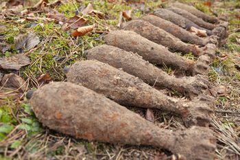 Natrafił na nie w zagajniku. Interweniowali saperzy