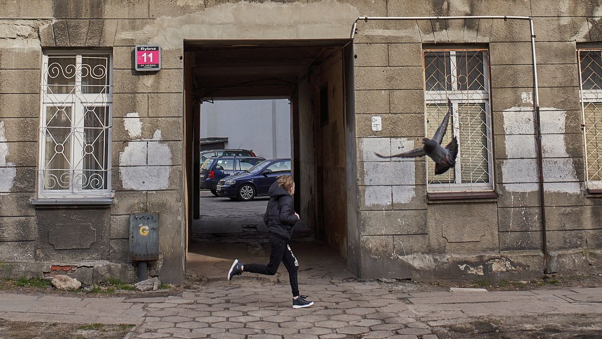 GUS podał najświeższe dane o ubóstwie w Polsce.