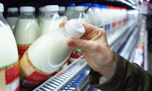 Dane są przerażające. Polacy nie wiedzą, czym są produkty bez laktozy