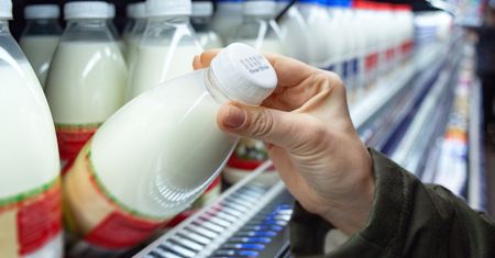 Dane są przerażające. Polacy nie wiedzą, czym są produkty bez laktozy