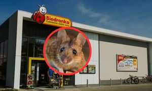 Taki widok w Biedronce. Zobaczyła ją na drożdżówce