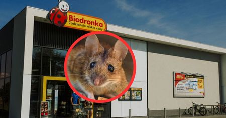 Taki widok w Biedronce. Zobaczyła ją na drożdżówce