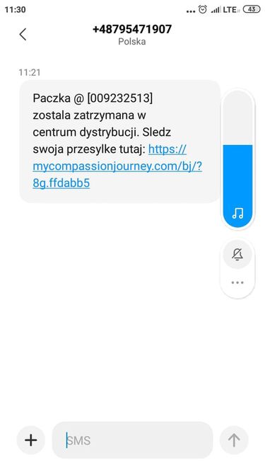 Oszustwo, cyberprzestępcy, SMS