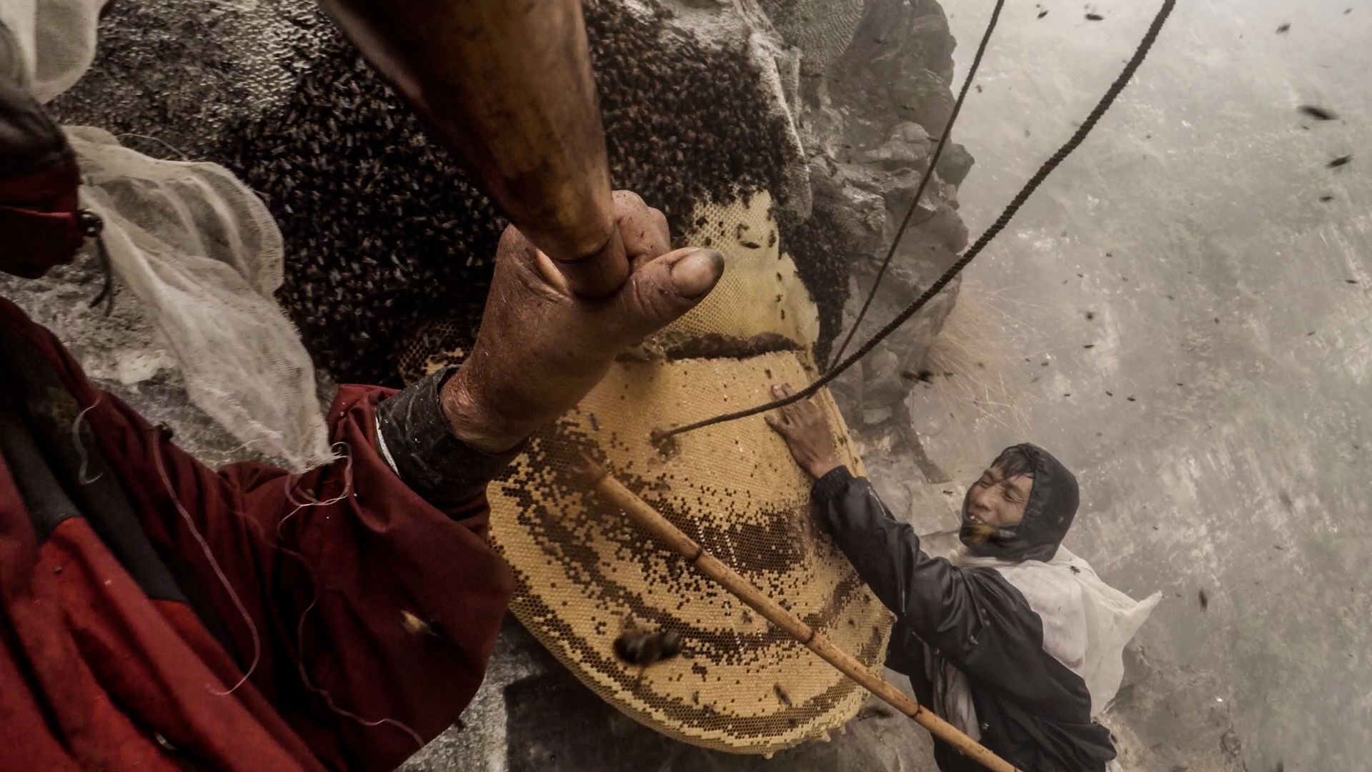 Halucynogenny miód i dobre zdjęcia - zobaczcie, jak powstaje nowy dokument Nat Geo 3
