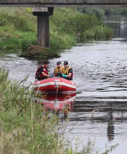 Martwe ryby z Neru. Są wyniki badań