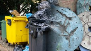 Ktoś podrzucił to do osiedlowego śmietnika. Teraz szukają właściciela