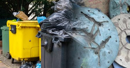Ktoś podrzucił to do osiedlowego śmietnika. Teraz szukają właściciela
