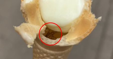 Zjadła lody i zamarła. Nagranie niesie się po sieci