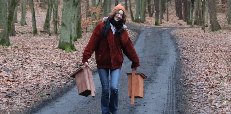 Ptasie osiedla nad Jeziorem Strzeleckim w Chodzieży