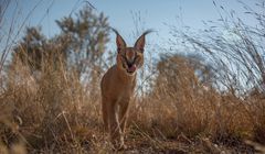 „Wrogi świat” od 14 kwietnia w National Geographic