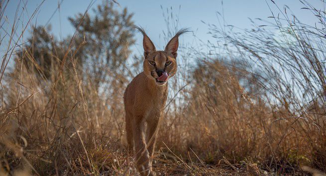 „Wrogi świat” od 14 kwietnia w National Geographic