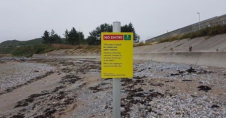 Słynna plaża zamknięta. Wykryli niebezpieczny poziom azbestu w piasku