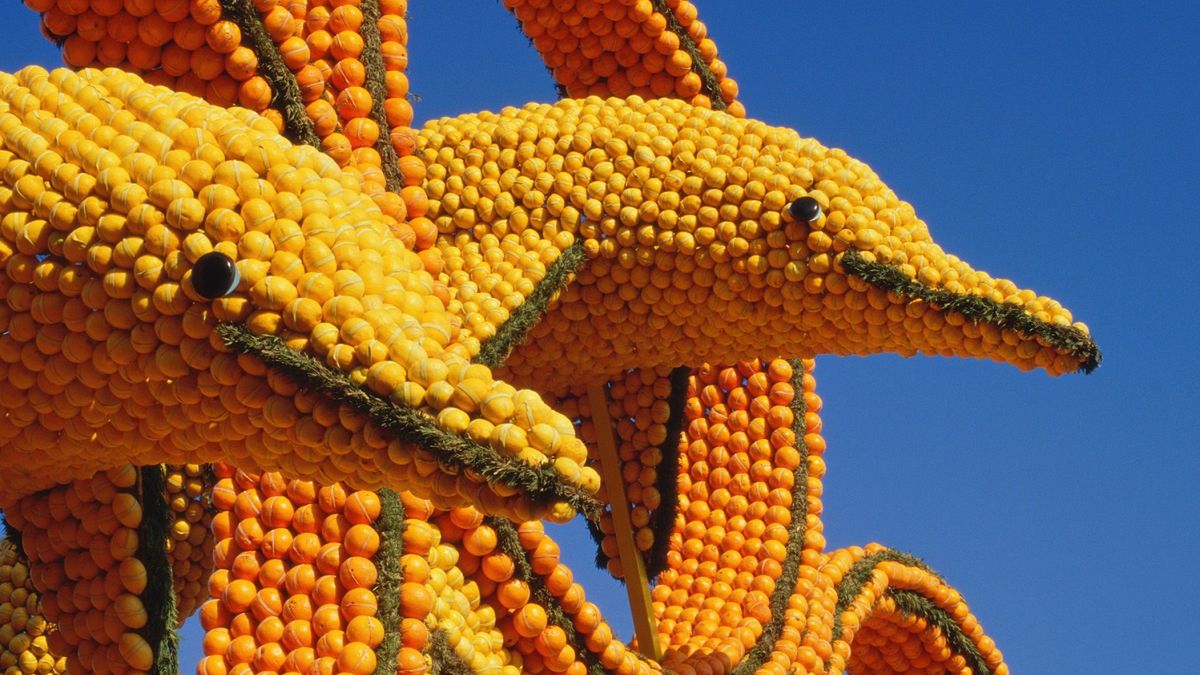 Festiwal Cytryn ma każdego roku inny motyw przewodni.