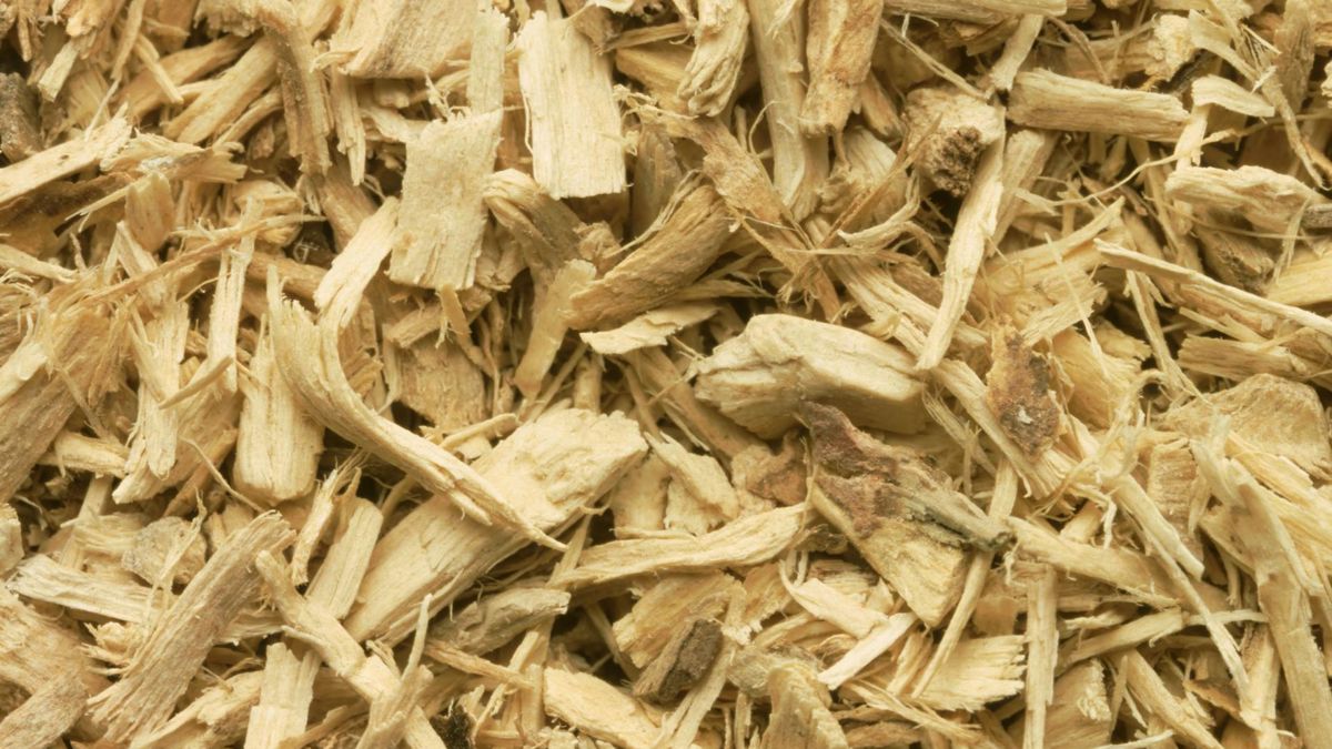 Korzeń eleuterokoka zawiera m.in. eleuterozydy odpowiedzialne za poprawę odporności, zwiększenie wydolności fizycznej oraz wsparcie układu nerwowego.