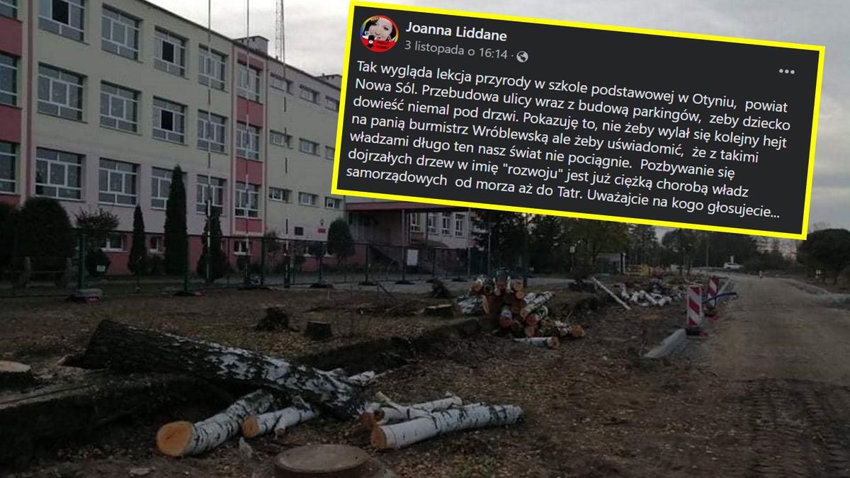 Internautka pokazała zdjęcia szkoły w Otyniu