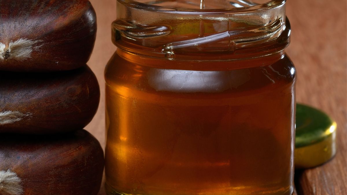 Miód kasztanowy to jeden z najzdrowszych miodów 