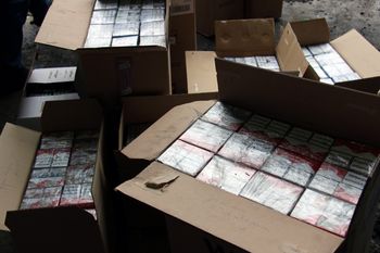 Gdynia: Przemyt. W kontenerze było 18 mln papierosów ze Sri Lanki