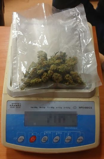 Legnica: Policjanci znaleźli 200 porcji przeznaczonej na sprzedaż marihuany w domu 34-latka