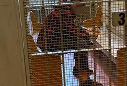 Katowice. Brutalnie pobili 40-latka w jego mieszkaniu. Ofiara trafiła do szpitala