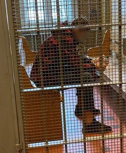 Katowice. Brutalnie pobili 40-latka w jego mieszkaniu. Ofiara trafiła do szpitala