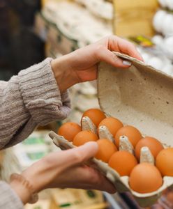 Salmonella w jajkach. GIS pokazał zdjęcie wycofanej partii