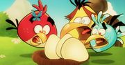 Angry Birds polecą liniami Finnair do Singapuru - konkurs dla graczy