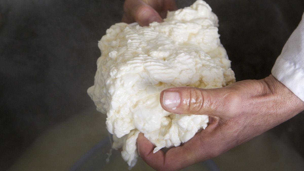 Sheep's milk Ricotta cheese
PhotoAlto/Isabelle Rozenbaum
adult, body part, cheese, cheese making, color image, cropped, cuisine, dairy products, day, food, food and drink, fresh, hand, holding, horizontal, indoors, italian cheese, man, north africa, one person, ricotta, sheep's milk cheese, soft cheese, tunisia