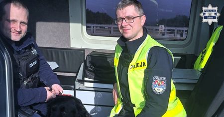 Pies na autostradzie. Policjanci uratowali zdezorientowanego psa z ruchliwego wiaduktu