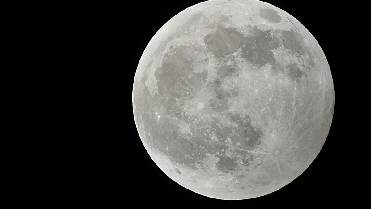 Wilczy Księżyc 2020: wasze zdjęcia 1