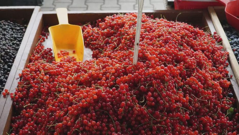 Obniżenie NDP powoduje, że plony z tych upraw, jeśli wartości zostaną przekroczone, nie będą mogły być oferowane do sprzedaży.