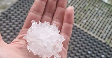 Gradziny o średnicy 6 cm. Pokazali je na zdjęciach