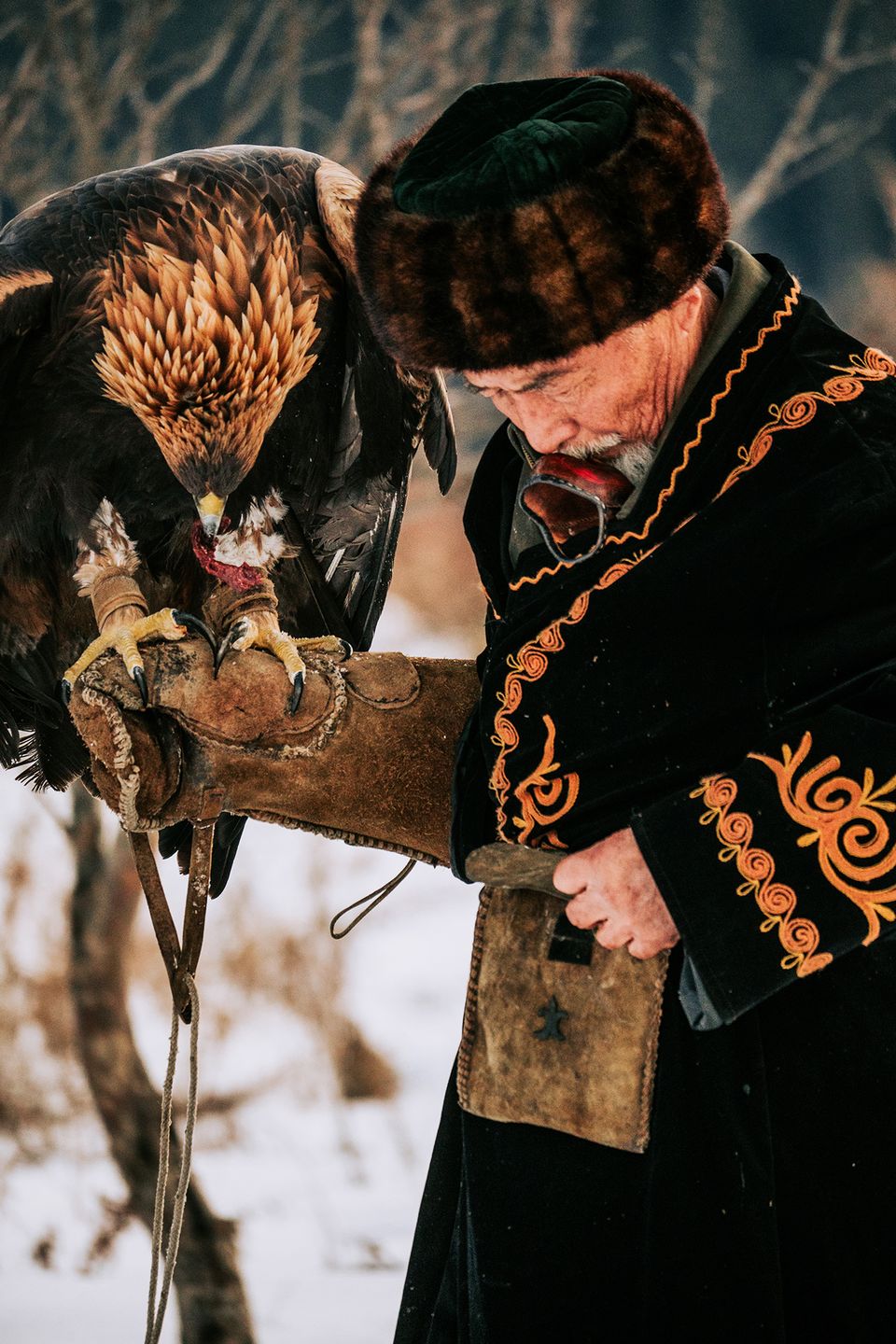 Patryk Biegański sfotografował kazachskiego trenera orłów. Ta więź jest piękna 4