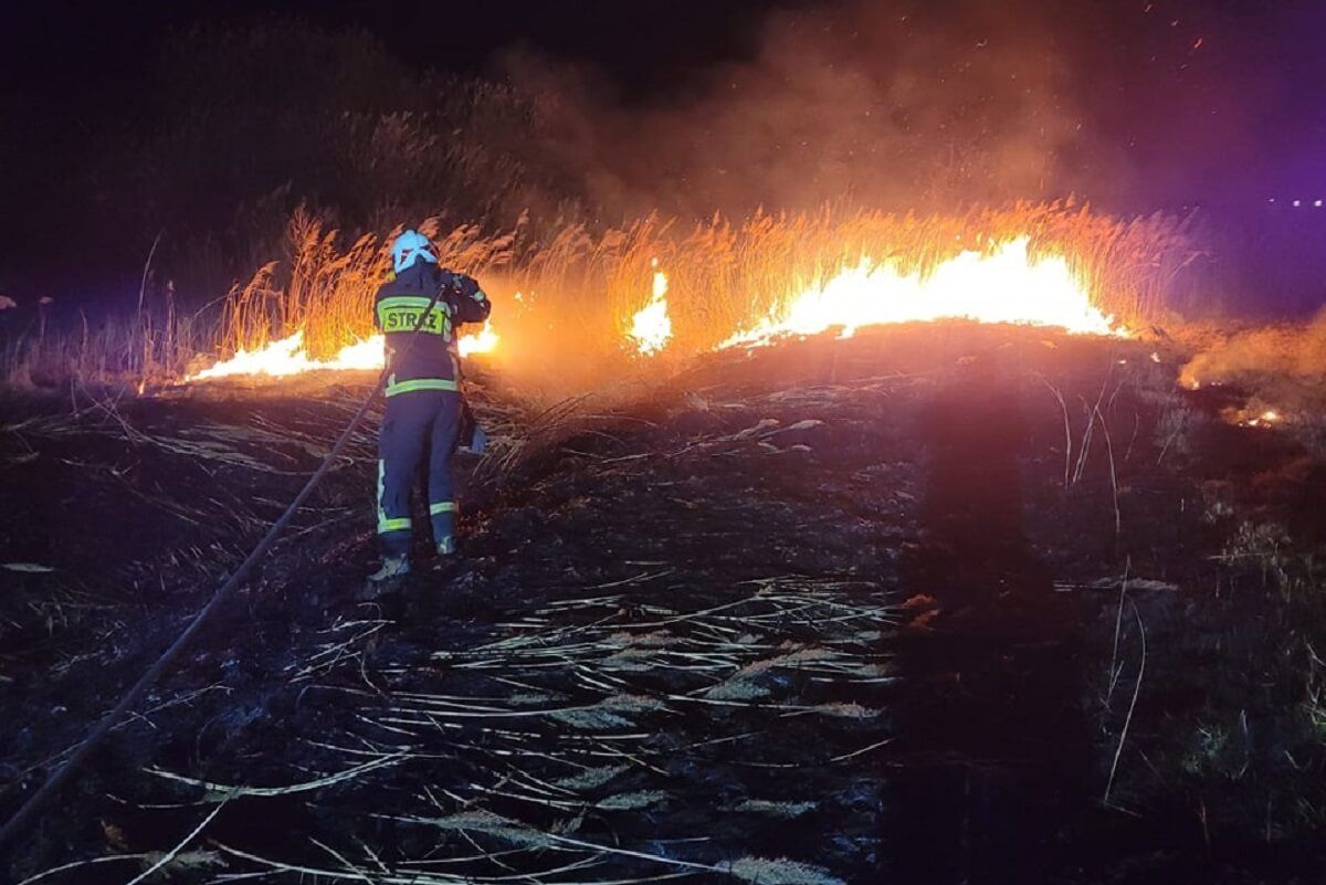 Pożar traw w akcji OSP Garbów