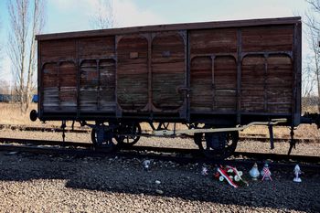 Auschwitz. Romowie i Polacy uczcili ofiary Zigeunerlager