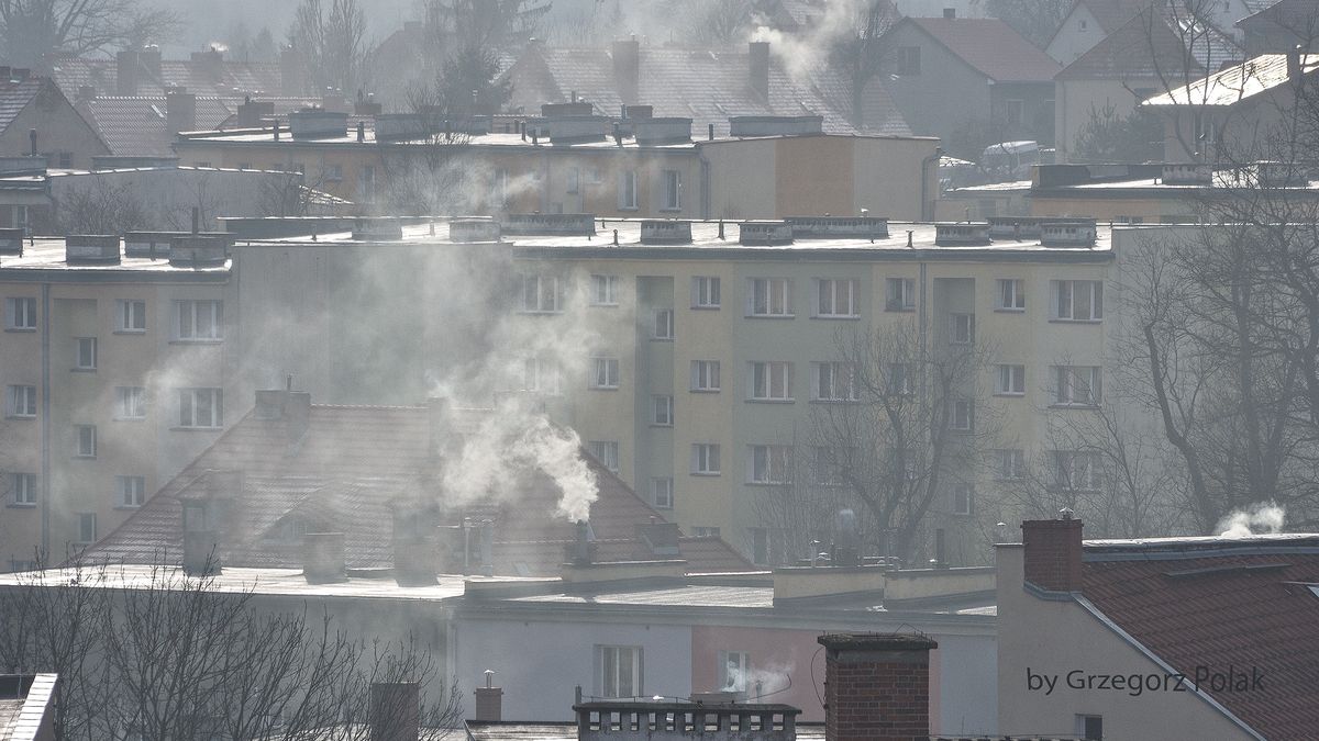 W 2021 roku powstanie Centralna Ewidencja Emisyjności Budynków.