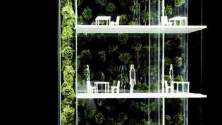 Hydroponiczne ściany - już za 10 lat 1