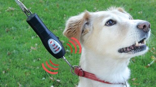 Elektroniczny treser dla Twojego pupila 1