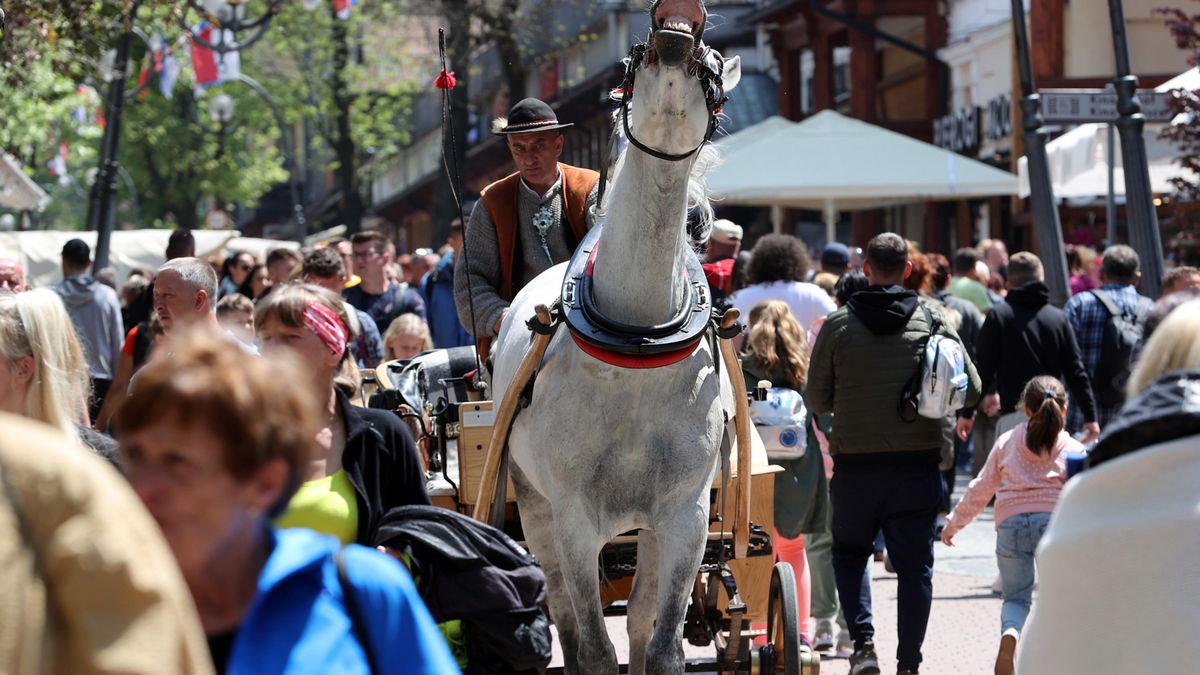 Tajemnicza przesyłka w zakopiańskim urzędzie/ zdjęcie ilustracyjne