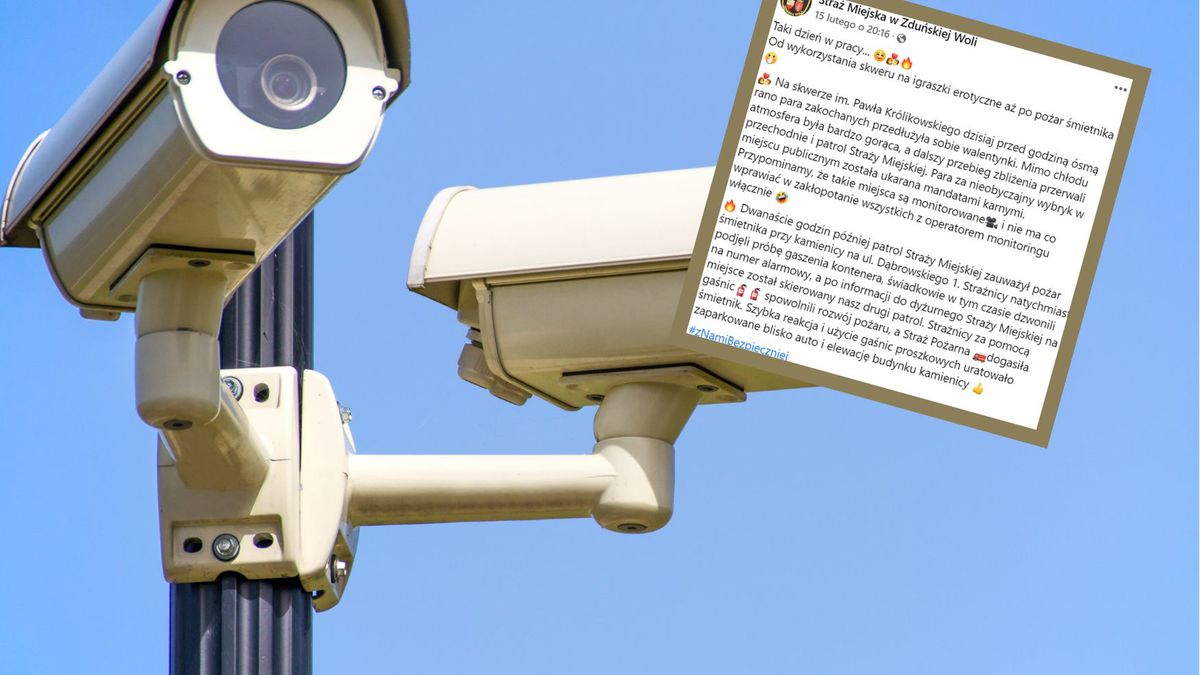 Miejski monitoring zarejestrował sceny seksu w miejscu publicznym