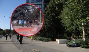 Podbili serca internautów. Pomogli małemu chłopcu