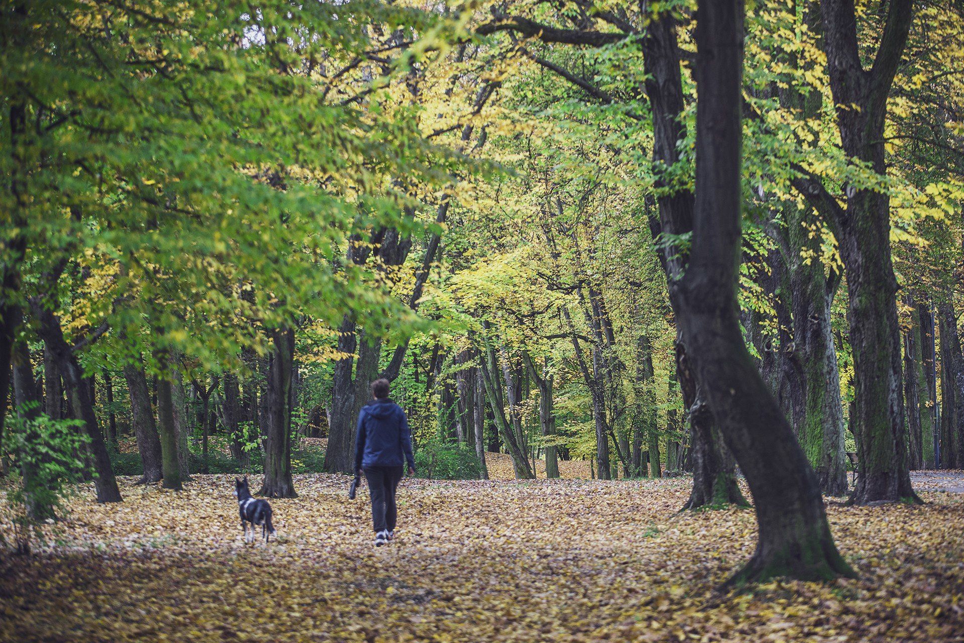 Ten park z XIX wieku na Śląsku zachwyca jesienią