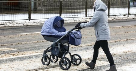 ZUS ws. "500 plus": chętni nie powinni jeszcze składać wniosków