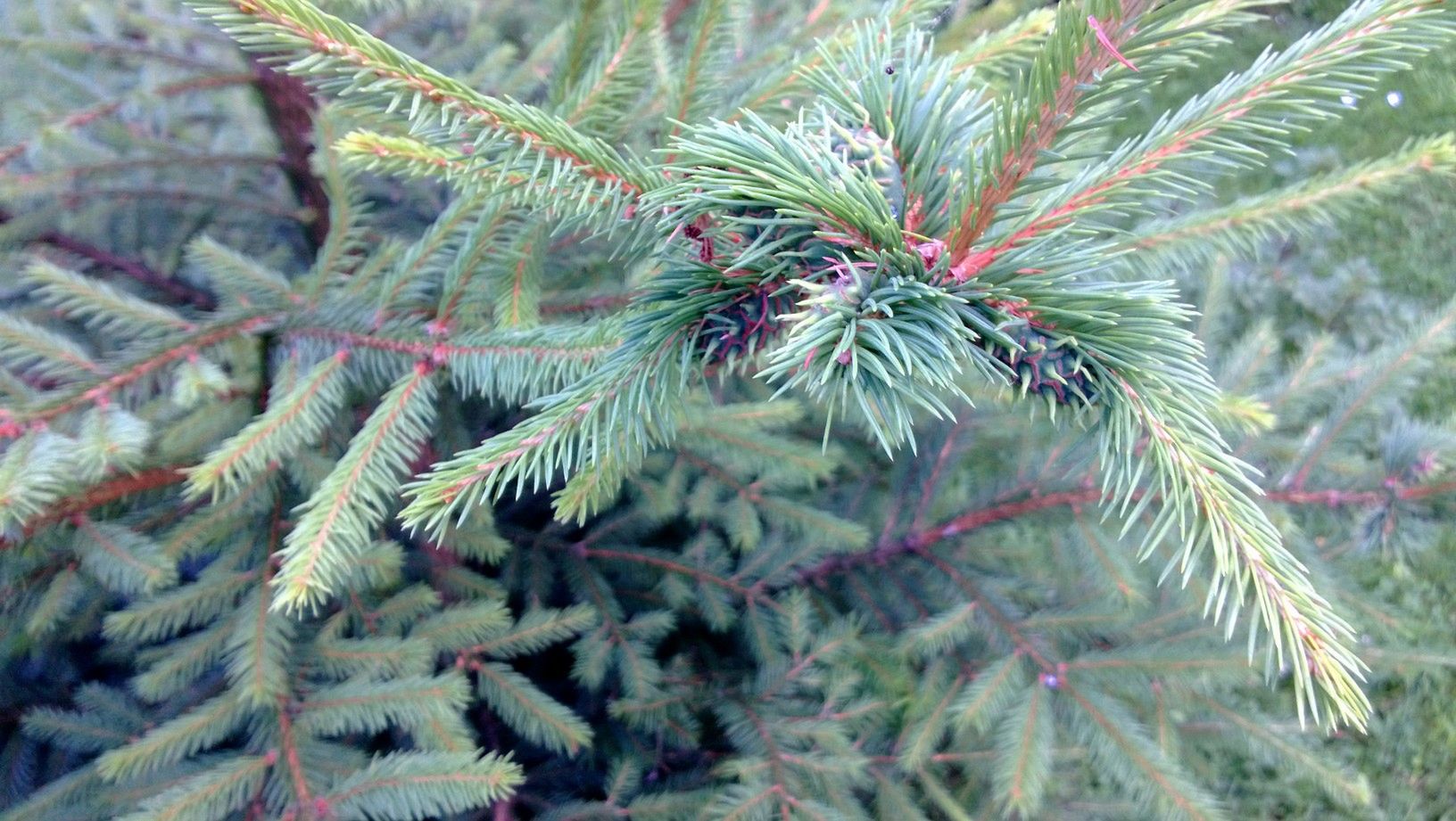 Nokia Lumia 720 lepszym wyborem od Lumii 820? [test] 12