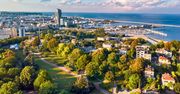 Polskie miasto tworzy mapę... drzew. Zaznaczono tysiące punktów, a będzie więcej